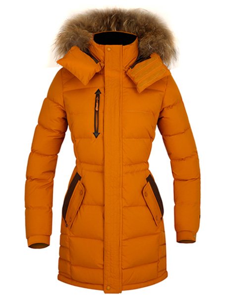 ����Ůʽ�������޷�����,�������޷��ӹ�����